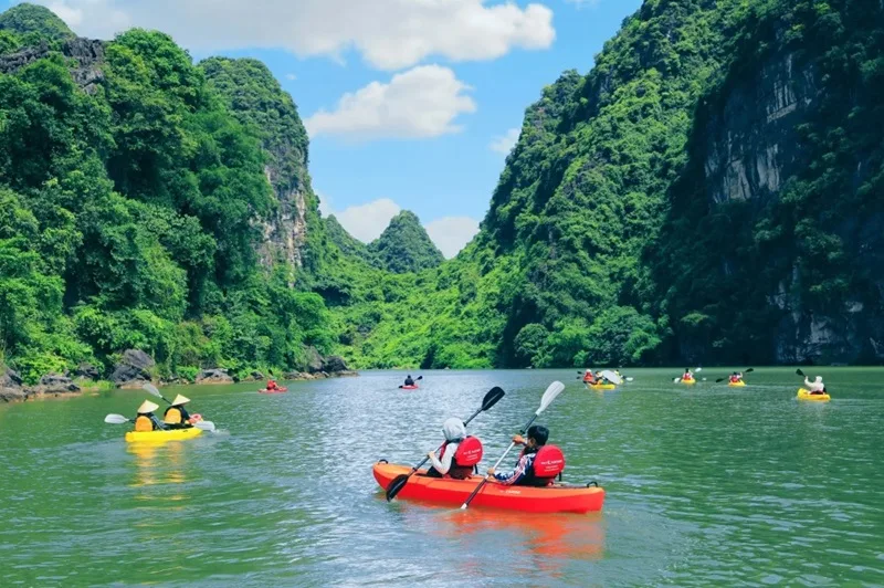 Cầm mái chèo đúng khoảng cách và giữ lưng thẳng giúp tối ưu lực truyền xuống thân thuyền.